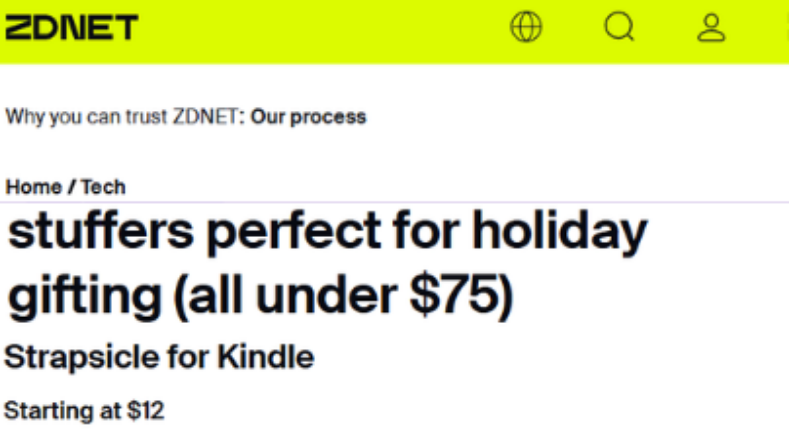 Strapsicle on ZDNET