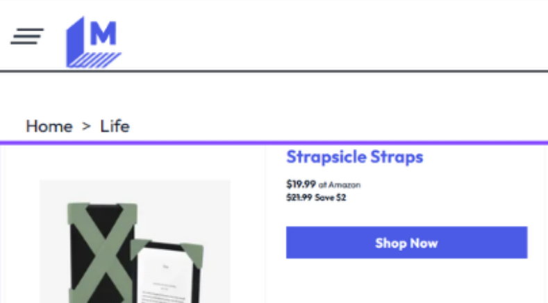 Strapsicle featured in Mashable